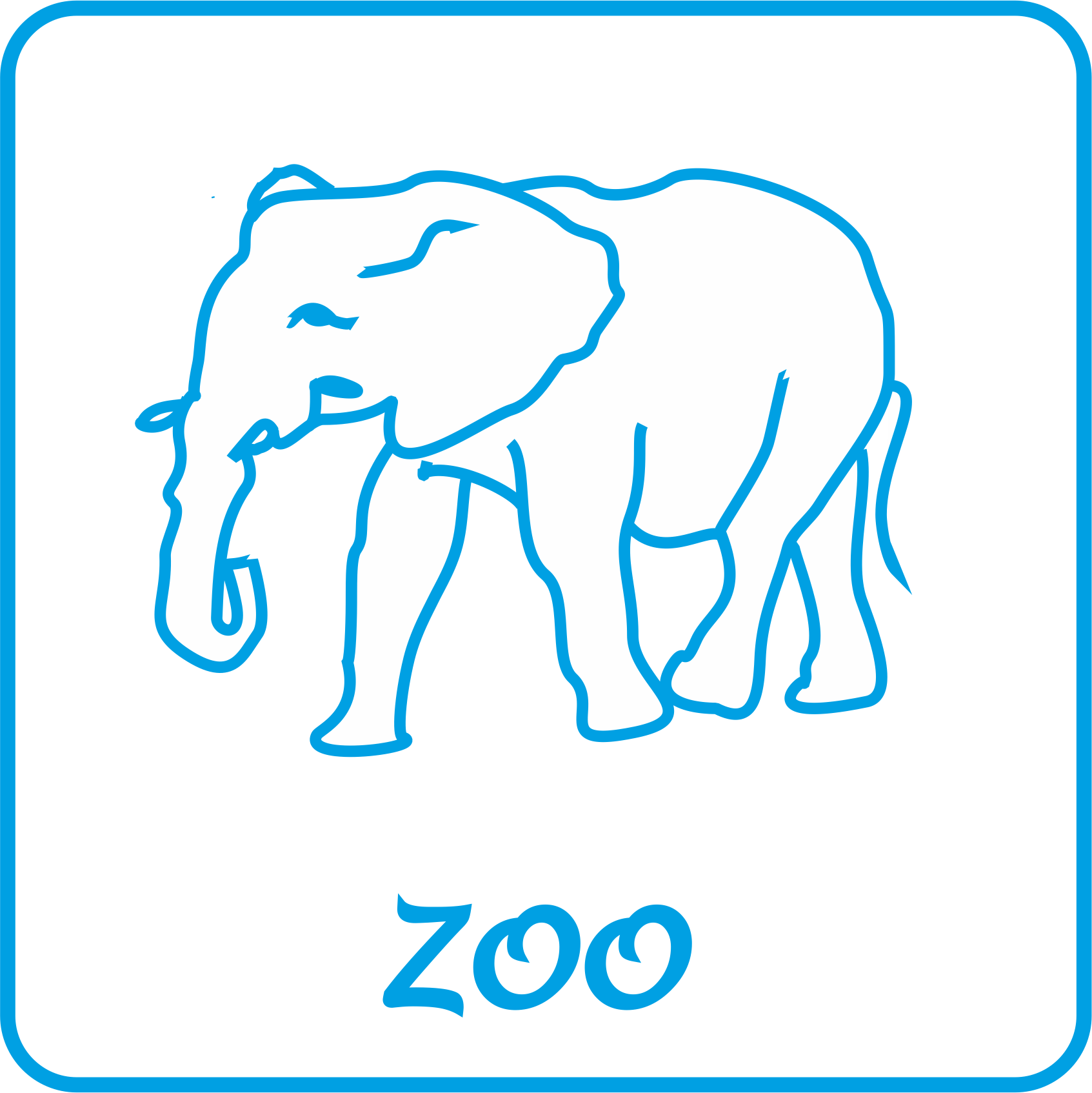 zoo zdjęcia